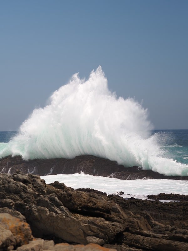 nature frame 33 photographed by Melani da Cunha Alves